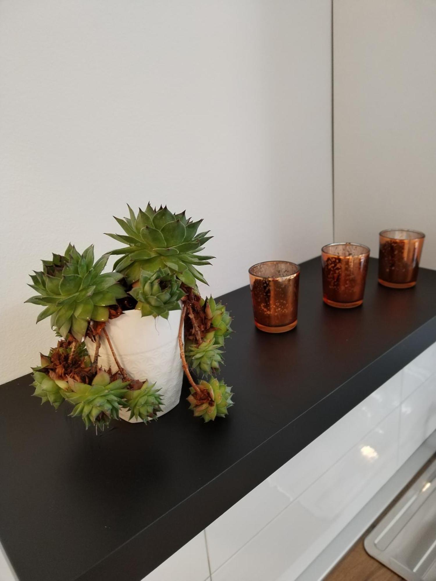 Apartments Mirijana プーラ エクステリア 写真